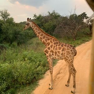 Meet your Posher, Taylor